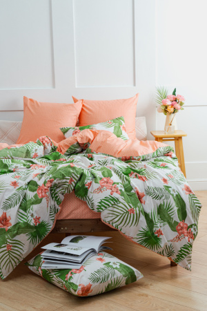 17081643-69e3-43fe-a5e9-10fc3b35d59b